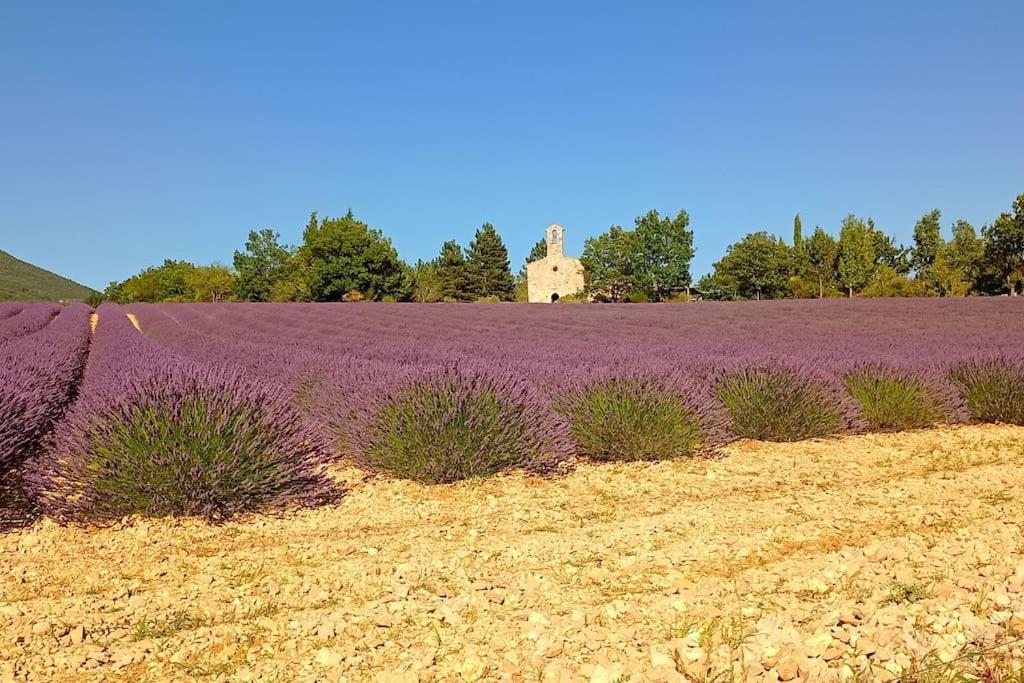 Le Mazet Sainte-Jalle, Piscine Chauffee, Jardin Clos, Barbecue En Baronnies Provencales エクステリア 写真